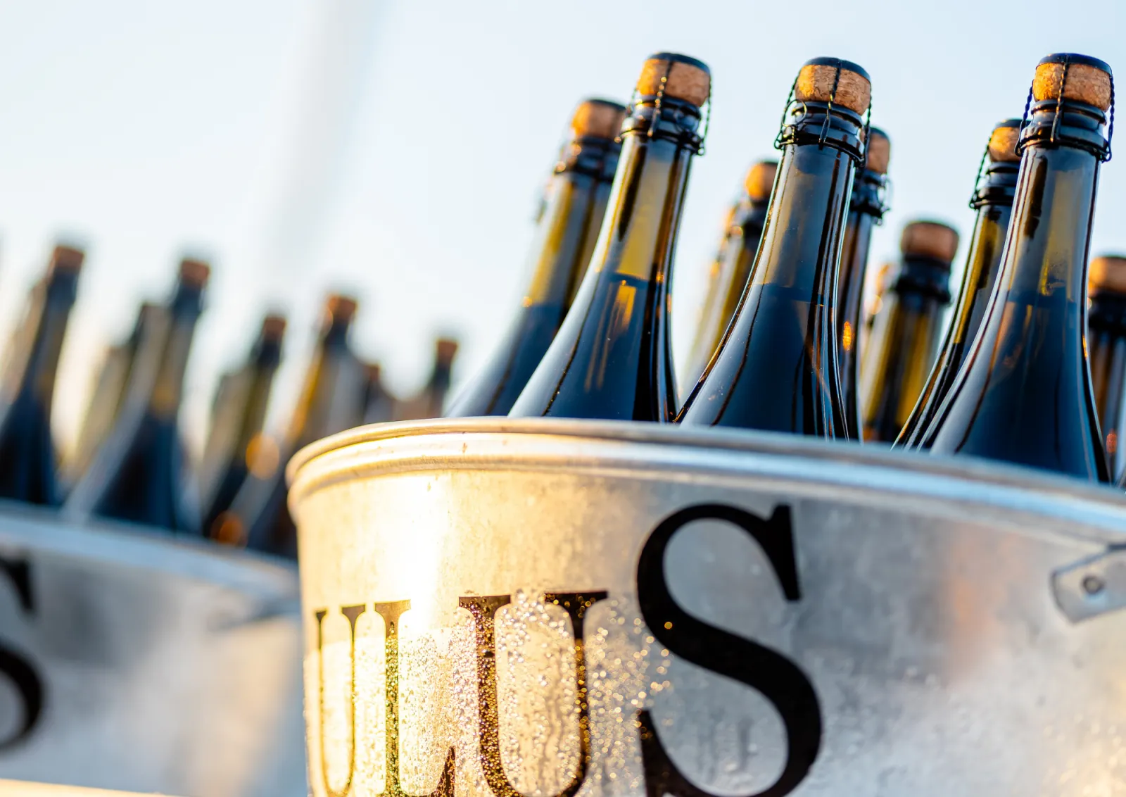 Prosecco bottles chilling in an ice bucket
